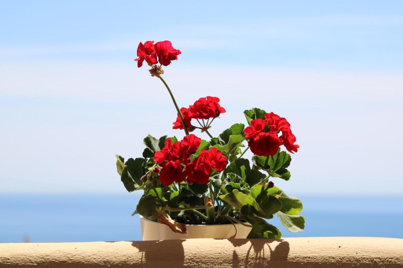 Amazing Sea View Appartement Fuengirola